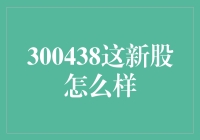 300438新股深度解析：投资价值与潜在风险的全面评估