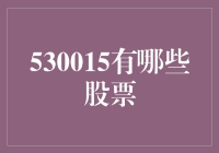 530015股票池：挖掘潜力股，构建稳健投资组合