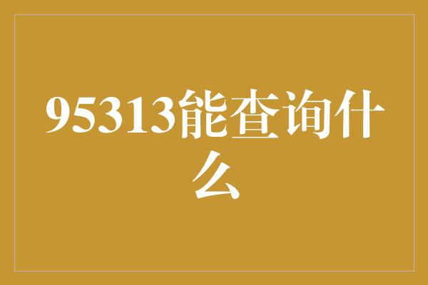 95313能查询什么