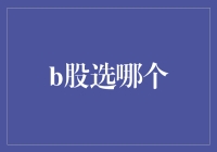 B股投资策略分析：如何从众多股票中精准选取优质标的