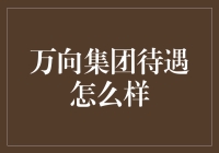 万向集团待遇解析：高薪、福利与职业发展机会共筑未来