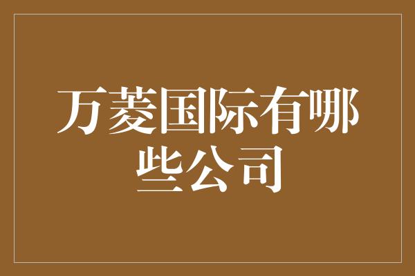 万菱国际有哪些公司