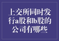 上交所A股与B股并行发行的公司有哪些？深度解析中国A股与B股市场现状