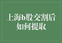 上海B股交割后提取策略与注意事项