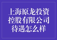 上海原龙投资控股有限公司待遇如何？揭秘员工的真实体验