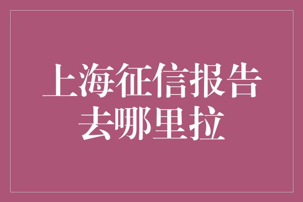 上海征信报告去哪里拉