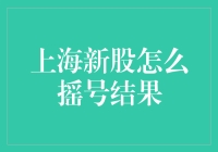 上海新股摇号结果查询指南：效率与技巧并重