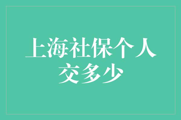 上海社保个人交多少