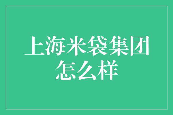 上海米袋集团怎么样