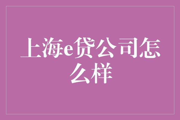 上海e贷公司怎么样