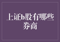 上证B股交易的券商选择指南：如何挑选适合的投资机构