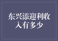 东兴添迎利收入大揭秘：从零到富翁的奇幻之旅