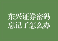 如何应对东兴证券账户密码忘记的问题？专业策略分享