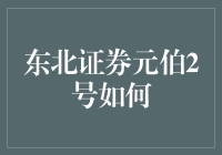 东北证券元伯2号：策略、风险与收益的深度剖析