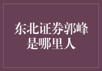 东北证券郭峰：股票市场中的投资智慧与东北文化底蕴