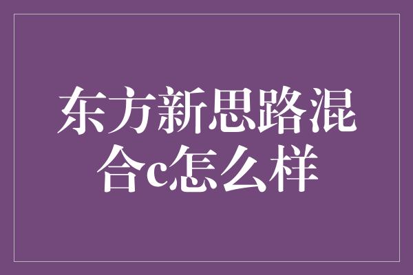 东方新思路混合c怎么样