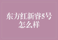 东方红新睿5号：如何解读这只蕴藏智慧的基金