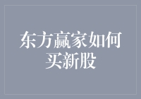 新手指南：东方赢家如何轻松购买新股？