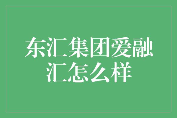 东汇集团爱融汇怎么样