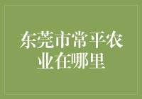 东莞菜篮子之源：东莞市常平农业的辉煌与挑战