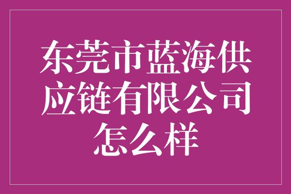 东莞市蓝海供应链有限公司怎么样