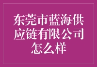 东莞市蓝海供应链有限公司：探索供应链管理的创新实践