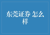 东莞证券：探索粤港澳大湾区的金融新势力