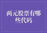 两元股票的奇妙代码世界：一场股票猎捕之旅