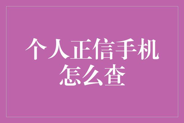 个人正信手机怎么查