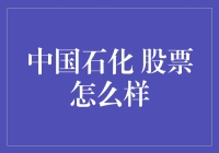 中国石化股票潜力如何？新手投资指南！