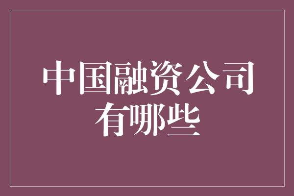 中国融资公司有哪些