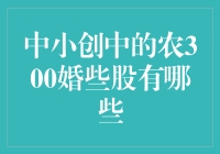 中小创中的农300婚些股的深度分析