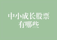 谁说小就不能成长？探寻中小成长股的投资机会