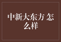 中新大东方：一个既古老又现代的大东故事