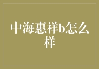 中海惠祥B产品测评：全面解析这款旗舰级产品的核心优势