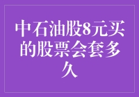 中石油股8元买入策略分析：长期投资价值与套期保值风险