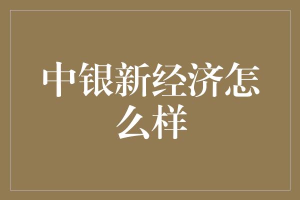 中银新经济怎么样