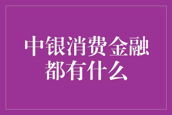 中银消费金融都有什么