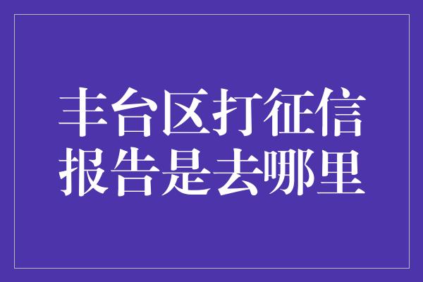 丰台区打征信报告是去哪里