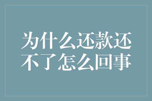 为什么还款还不了怎么回事