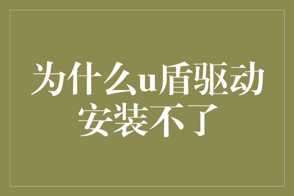 为什么u盾驱动安装不了