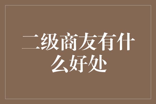 二级商友有什么好处