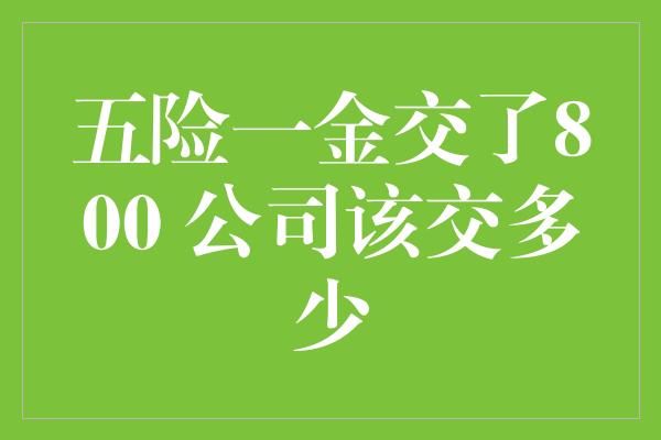 五险一金交了800 公司该交多少