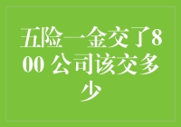 五险一金交了800，公司该交多少？揭秘员工福利背后的财务真相