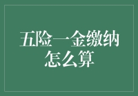 五险一金缴纳：人生的大冒险？