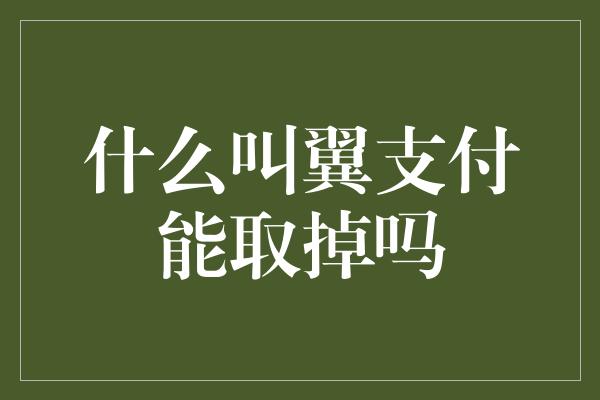 什么叫翼支付能取掉吗