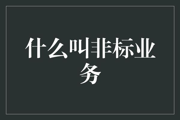 什么叫非标业务