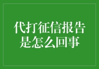 代打征信报告：解析背后的风险与挑战