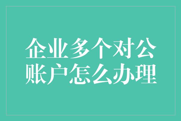 企业多个对公账户怎么办理