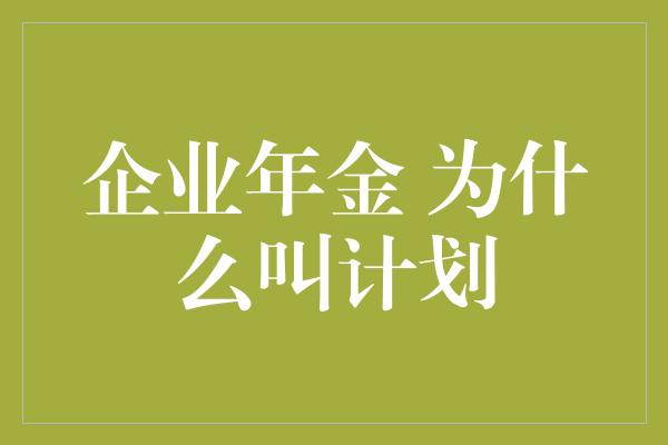 企业年金 为什么叫计划